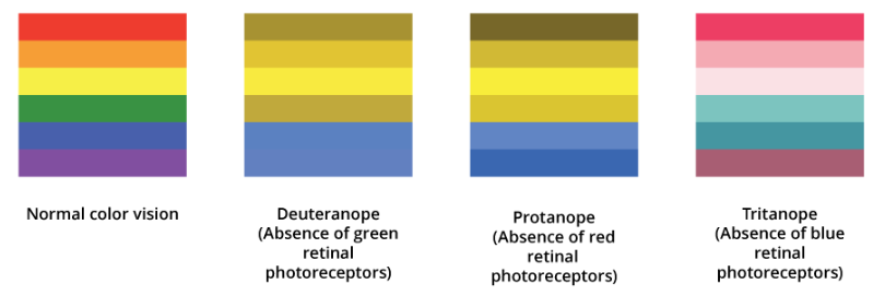 four color profiles representing visible color for normal, deuteranope, protanope, and tritanope colorblindness