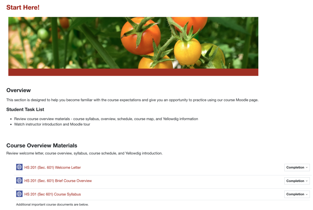 A "Start Here!" section in Moodle includes a brief overview paragraph, a student task list, and links to important course documents.