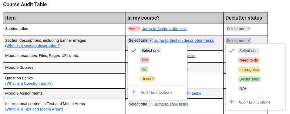 Screenshot of the audit portion of the declutter checklist